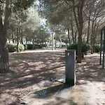 Apartmán Basic Platja