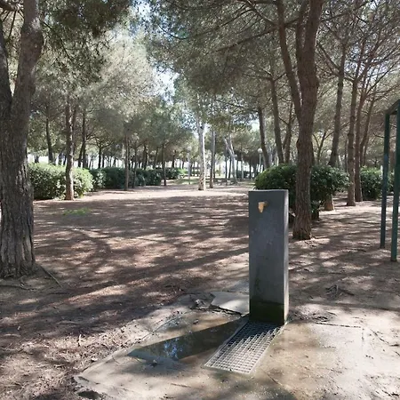 Appartamento Basic Platja