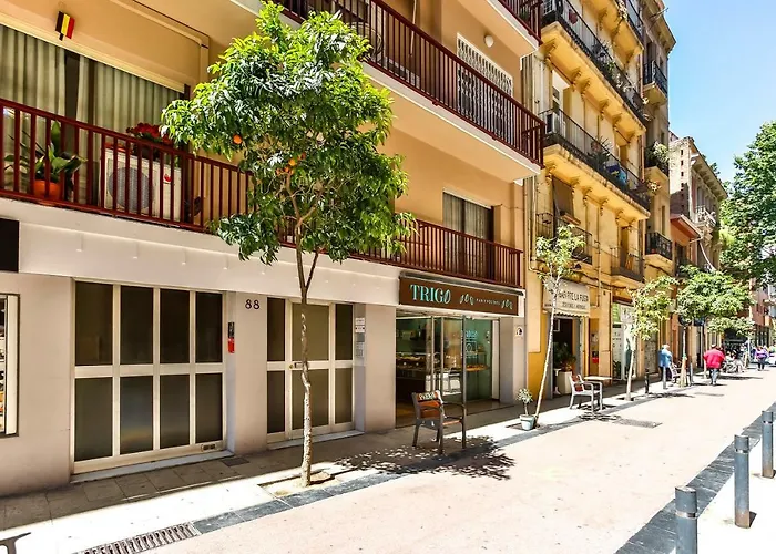 Basic Platja
