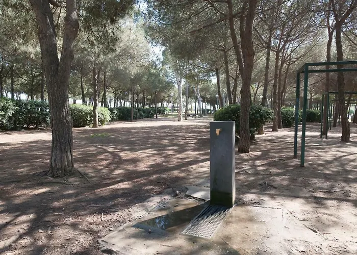 Appartamento Basic Platja